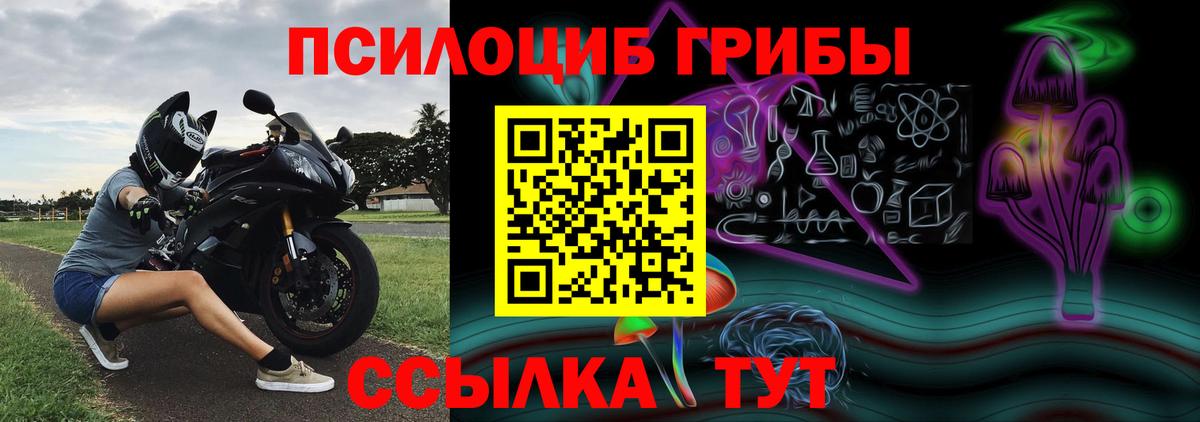 Псилоцибиновые грибы прущие грибы  Вход с VPN  цена   Краснознаменск 